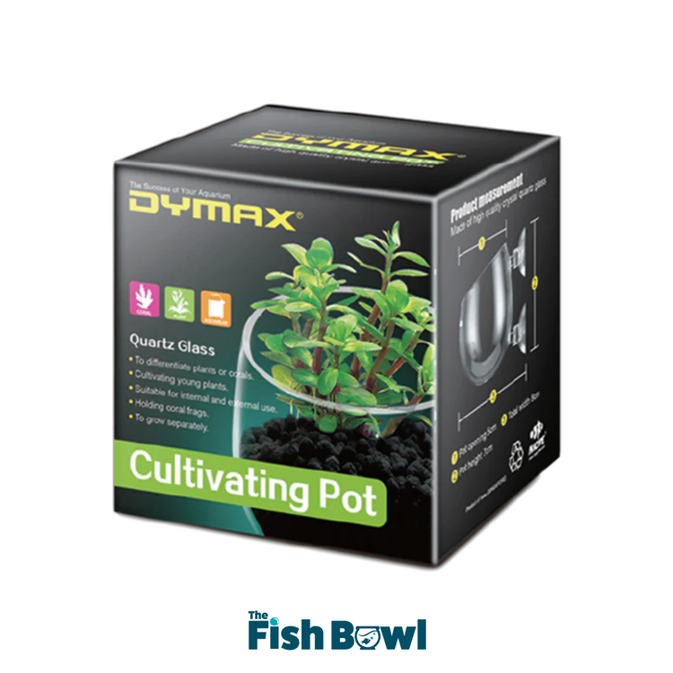 Dymax Crystal Cultivating Pot