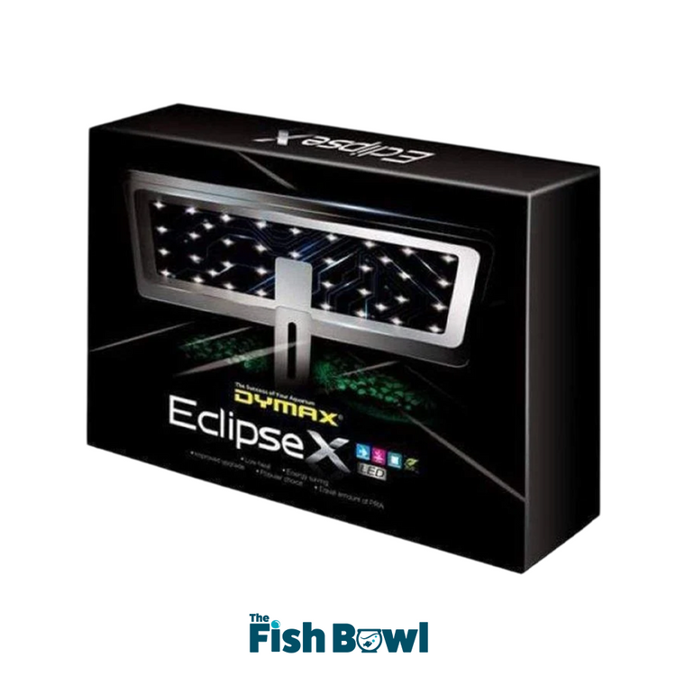 Dymax Eclipse X Light-Flora