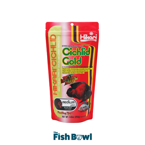 Hikari Cichlid Gold