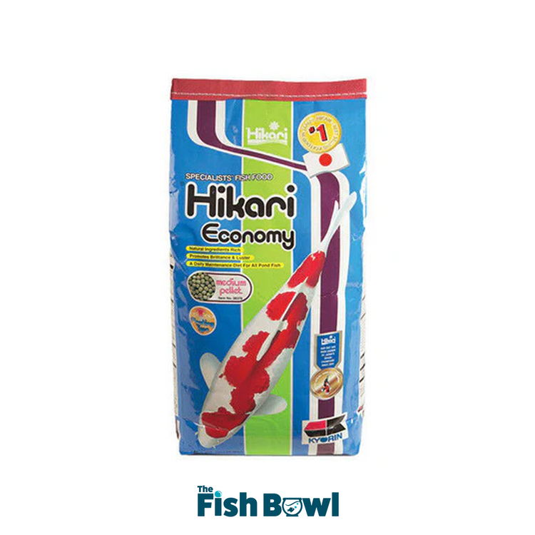 Hikari Economy Koi