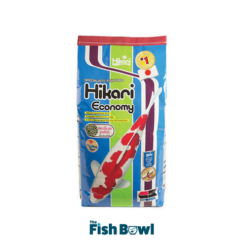 Hikari Economy Koi